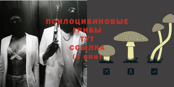 дурь Коряжма