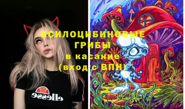 дурь Коряжма
