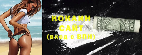 дурь Коряжма